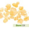 Crysalis Crysalis Elemi (Canariuml uzonicum) Oil - 1.69 Fl Oz