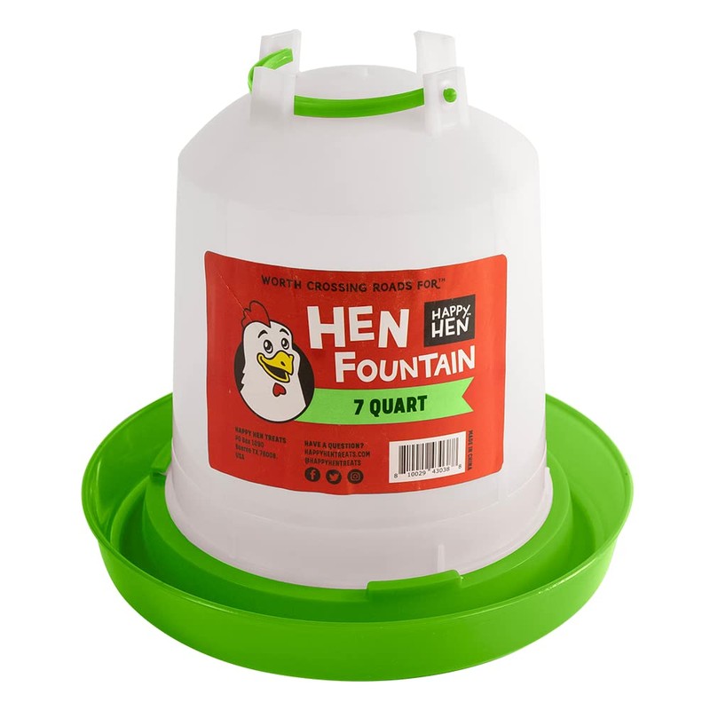 Hen Fountain