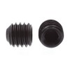 Prime-Line 9182913 Socket Set Screws, #10-32 X 3/16 in, Black