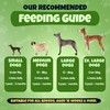 Anal Gland Chews for Dogs, 200 Chews - Dog Supplement