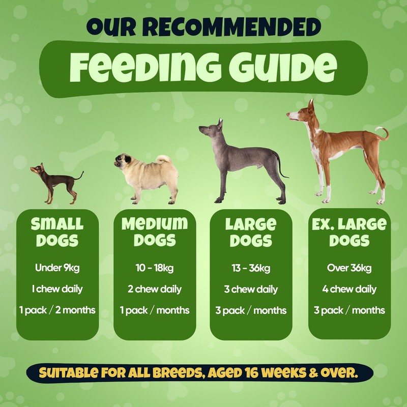 Anal Gland Chews for Dogs, 200 Chews - Dog Supplement
