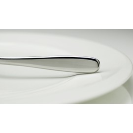 Fortessa Grand City 18/10 Stainless Steel Flatware Gourmet Flat Sauce Spoon, Set of 12