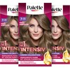 Palette Intensive Cream Colouration 7-11 Cool Dark Blonde (3 x