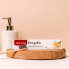 Red Seal Propolis Herbal Toothpaste - Fluoride Free, Organic, Vegan