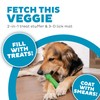Outward Hound Asparagus Interactive Treat-Dispensing Dog Toy, Medium, Green