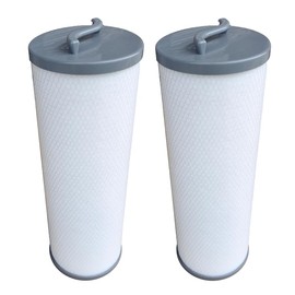 Malaka Spa Filter Cartridge Replacement, Compatible with 006541, Silver Sentinel, 900011, RD800-2120, PP6541, 2" Female Thread, with Handle, 2-Pack