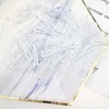200 Pcs Plastic Alligator Clips Garment Clips with Teeth Clear