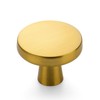 Ravinte Cabinet Knobs, Pack of 5, Gold Drawer Knobs, Kitchen