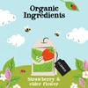 Clipper Tea Strawberry & Elderflower Herbal Tea – Caffeine Free,