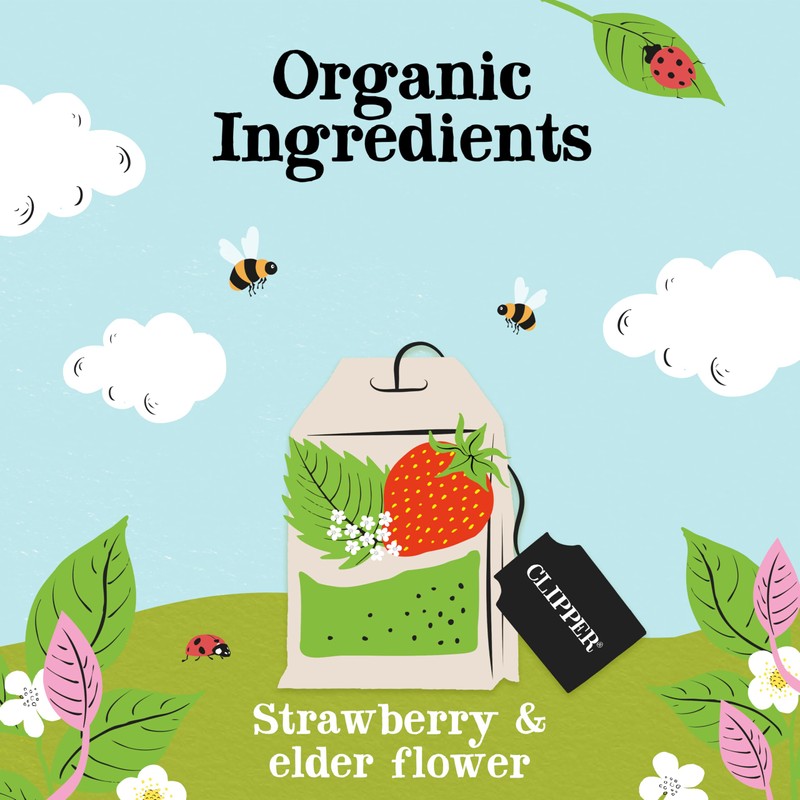 Clipper Tea Strawberry & Elderflower Herbal Tea – Caffeine Free,