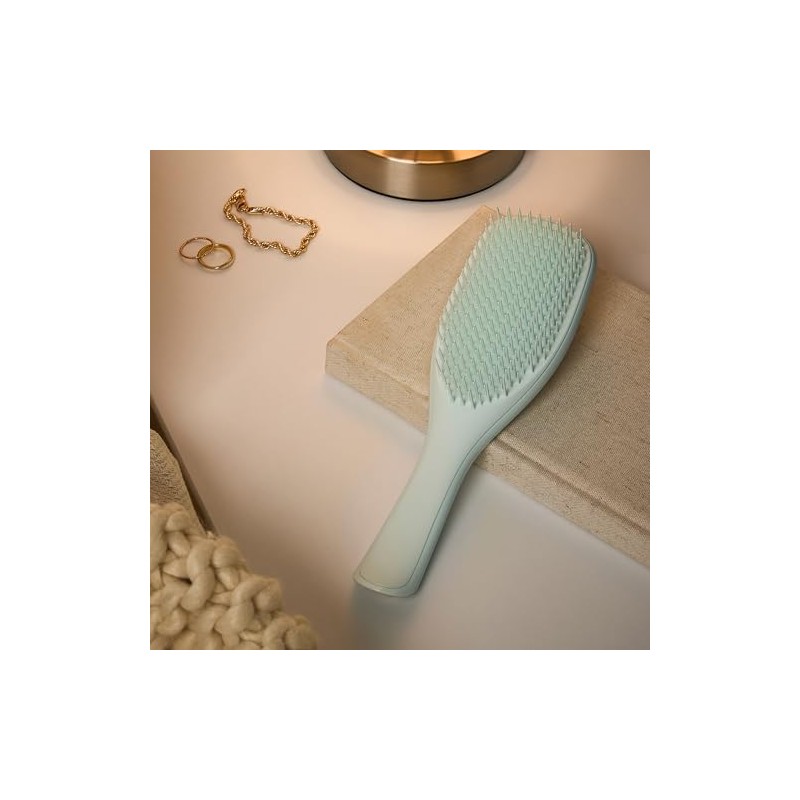 Tangle Teezer Fine and Fragile Ultimate Detangler Hairbrush for Coloured,