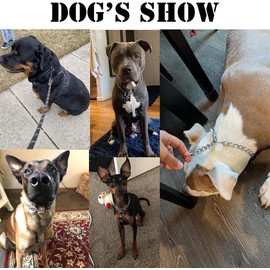 Dog Chain Collars, Metal Choke Link Dog Collar Choker Training Heavy Duty Slip Martingale Puppy Collars for XS Small Medium Large Big XL Breed Dogs (Silver, XS(Neck Max 12inch) D2.0mm)