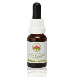 ABFE Autumn Leaves 15ml