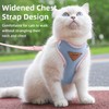 Generic Escape-Proof Cat Harness and Leash Set - Adjustable and