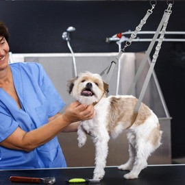 Toddmomy 1 Set Abdominal Sling for Dog Grooming Table: Adjustable Dog Grooming Table Arm Extender - No Sit Haunch Holder Grooming Restraint for Small & Medium Pets