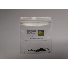 Sharons Florida Mexican Prickly Poppy Seeds (Argemone mexicana) ✤ 50 Florida Seeds