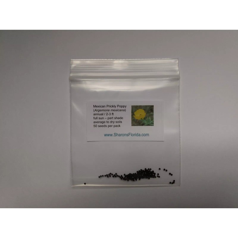Sharons Florida Mexican Prickly Poppy Seeds (Argemone mexicana) ✤ 50