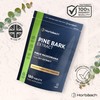 Pine Bark Extract 400mg | Providing Proanthocyanidins | Naturally Sourced