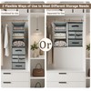 2-in-1 Durable 6-Tier Hanging Closet Organizer with 4 Removable Drawers,2