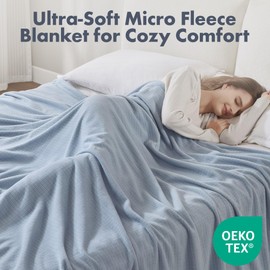 Sleep Philosophy True North Queen Luxury Cozy Microfleece Blanket Grid Pattern Reversible Soft & Warm, All Season Lightweight Queen Blanket, Farmhouse Room Décor Summer Blanket, Full/Queen, Blue