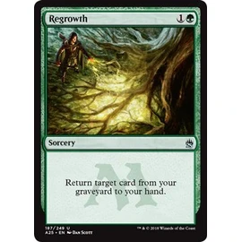 Wizards of the Coast Regrowth - Masters 25