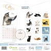 Cute Cats Wall Calendar 2025 (PFP)