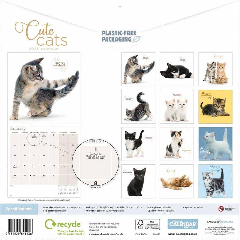 Cute Cats Wall Calendar 2025 (PFP)