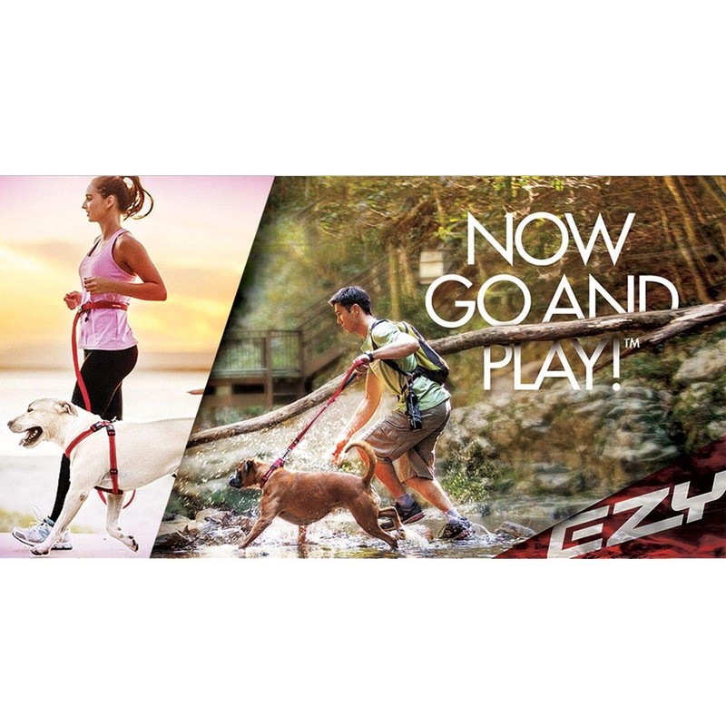 EZYDOG Classic Chest Plate Harness | Dog Harness Small, Medium,