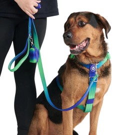 Spark Paws Large Dog Harness without Pull, Holder Design with Front Clip, Robust and Durable for Large and Strong Breeds - Lime Wave, L