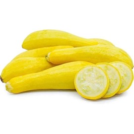 Seed Savvy 20+ seeds, Yellow Straightneck Summer Squash, Open pollinated,Hei