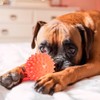Fancy Pets Juguete d Pelota de Caucho Spiny para Perro
