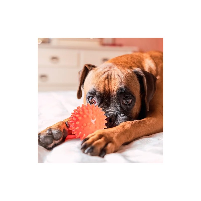 Fancy Pets Juguete d Pelota de Caucho Spiny para Perro