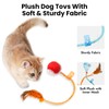FOUR ANGELS Interactive Cat Toys Ball,Automatic Cat Toy with Speedy