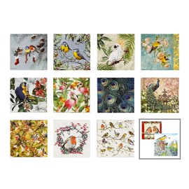 Assorted Bird Napkins for Decoupage - 12 Styles, 1 Each, 6.5