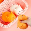 Cat Paw Squishy (Orange)