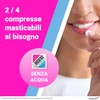 BIOCHETASI Digestione Pocket, per Aiutare la Digestione anche Fuori Casa,