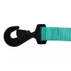 SpeedStrap Shreddy Teal 2"x10' Ratchet Tie-Down W/ Swivel Hook and