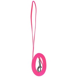 Coastal Pet Single-Ply Nylon Leash with easy-to-use Bolt Snap, Neon Pink, 3/8-Inch X 6-Feet (1-Unit)