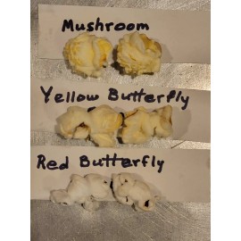 Unbranded mushroom popcorn - 6 oz. mushroom popcorn kernels