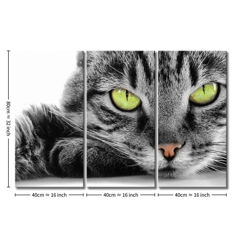 Cat Wall Art Painting 3 Piece Black and White Green
