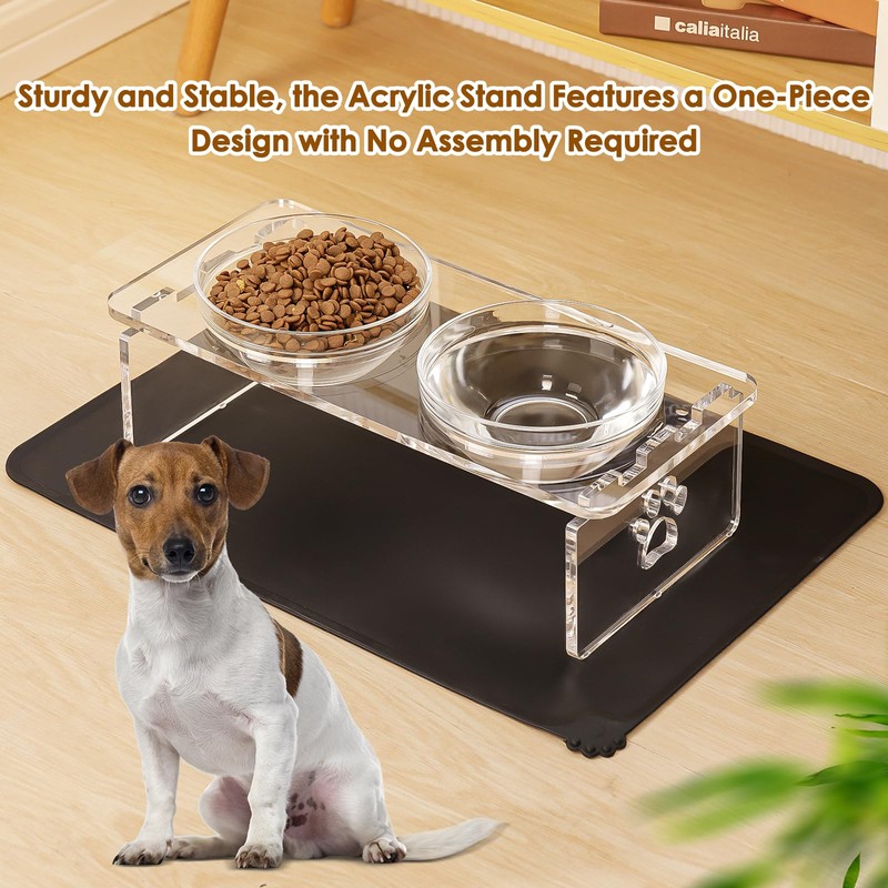 Dog and Cat Bowls Elevated Set - Acrylic Feeder Stand