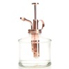 Purism Style Plant Mister- Glass Bottle & Brass Sprayer (Clear