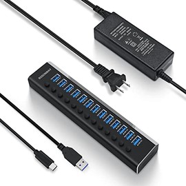 Powered USB Hub Rosonway Aluminum 13 Port USB 3.1 Hub up to 10Gbps with 72W (12V/6A) Power Adapter and Individual Switches, Type A and Type C Cables, USB C Hub Expander for PC and Laptop (RSH-A13)