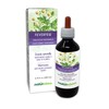 Naturalma Feverfew (Tanacetum parthenium) herb with flowers Alcohol-free Tincture -