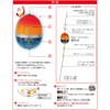 DUEL(デュエル) フカセウキ TGピースマスター 遠投 M 2B SO 自重:9.8g G1340-SO-シャイニングオレンジ 磯釣り