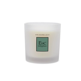 Archipelago Botanicals Hand-Poured Soy Wax Blend Scented Candle with Fragrance Oils, Lead-Free Cotton Wicks, Glass Candle Jar with Gift Box, Burns Approx. 60 Hours, Eucalyptus, 10 Oz.