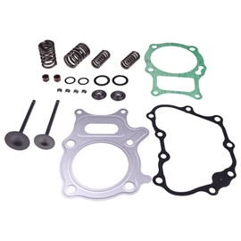 Lesurey Cylinder Head Valve Gasket Kit Compatible with Honda TRX250TM Recon 250 2X4 2002-2018