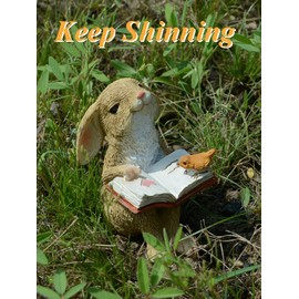 Gemmia Miniature Reading Book Figurine- Confident Reading Rabbit