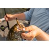 Rapala Crushcity Ned's BLT Fishing Lure Size 7.5cm/3.5g Freshwater Lure