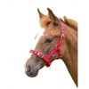 Shires Foal Nylon Headcollar Black